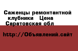 Саженцы ремонтантной клубники › Цена ­ 10 - Саратовская обл.  »    